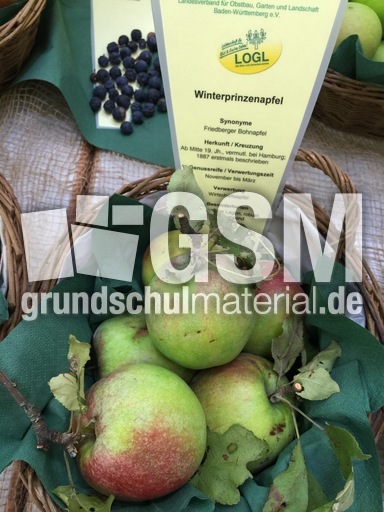 Winterprinzenapfel.jpg